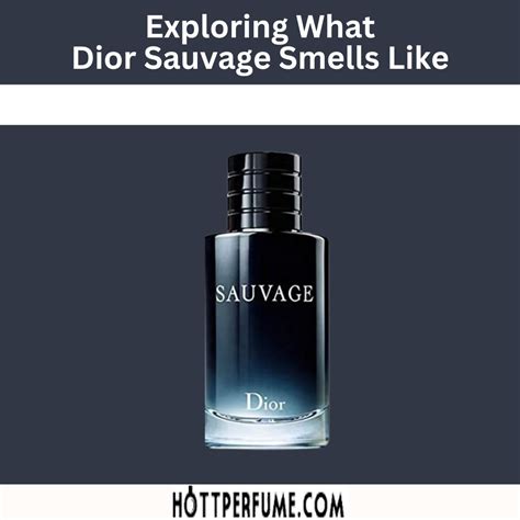 sauvage christian dior notes|Dior Sauvage smell like.